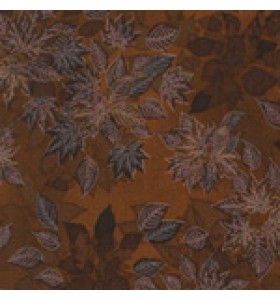 BROWNS BROWNS