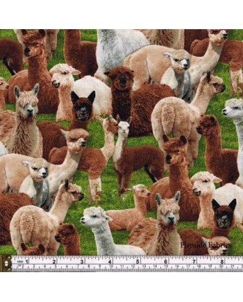 FARM ANIMALS - ALPACA