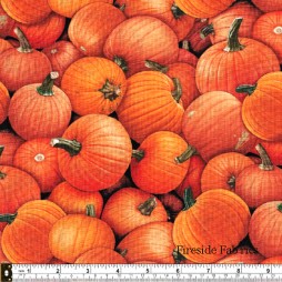 HARVEST TIME - PUMPKIN