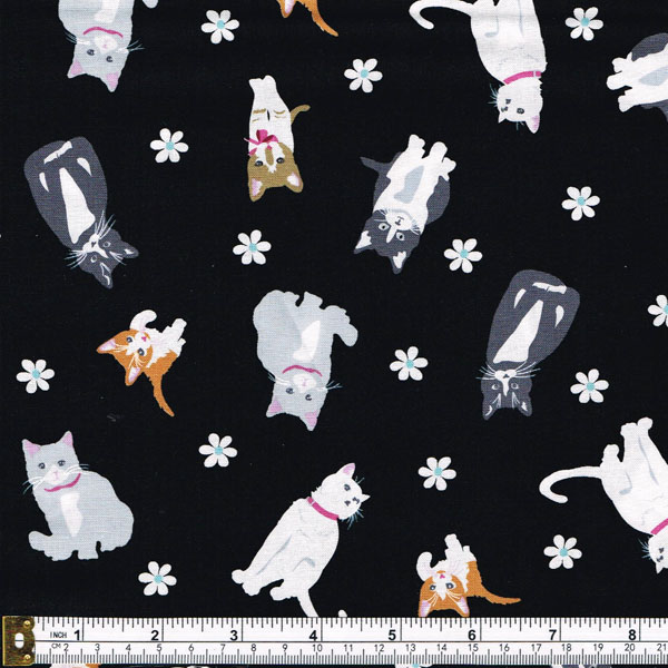 CATTITUDE - CATS- SCATTERED - BLACK