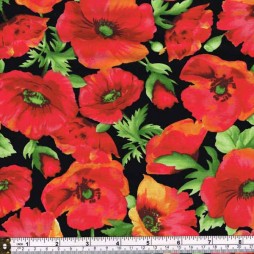 FIELD OF DREAMS - POPPIES
