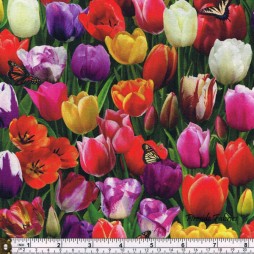 TULIPS