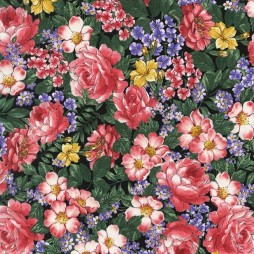 DREAMLAND FLOWER FAIRIES - FLOWERS