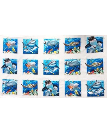 OCEAN SELFIES - PANEL OCEAN SELFIES - PANEL