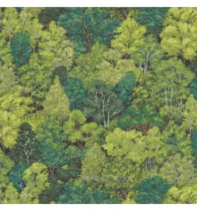 LANDSCAPE LANDSCAPE