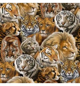 ANIMALS AND CREATURES ANIMALS AND CREATURES