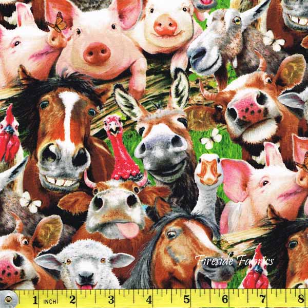 FARM SELFIES - CROWD - ANIMALS