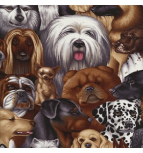 CATS AND DOGS CATS AND DOGS